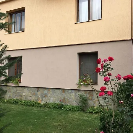 Willy Villy's House