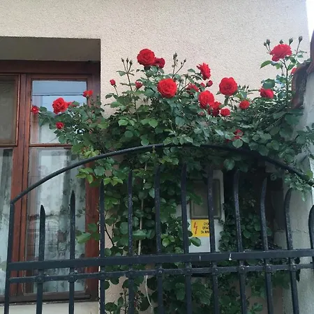 Appartement Willy Villy's House *