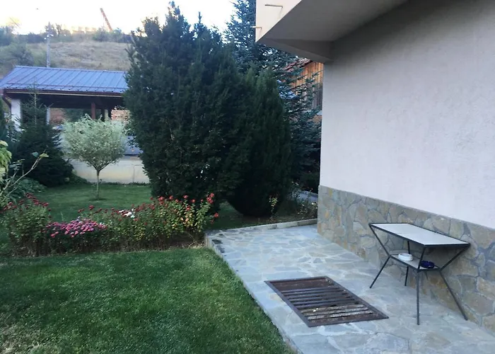 Willy Villy's House Apartment *