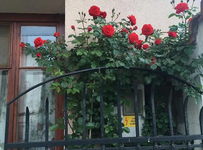 Apartment Willy Villy's House *